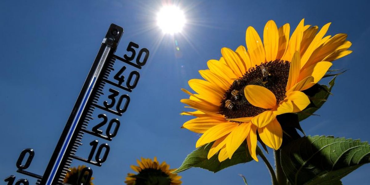 la-primera-ola-de-calor Ola de calor