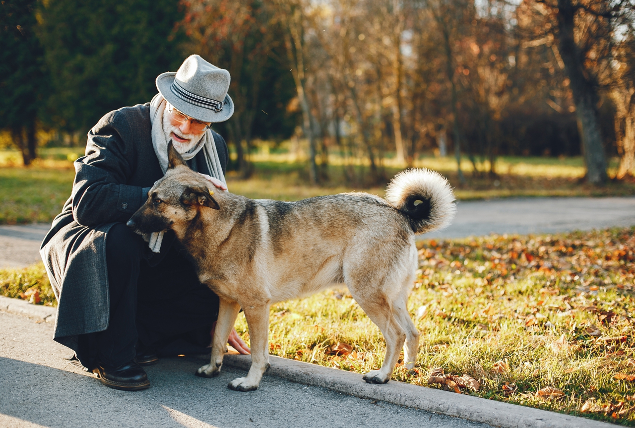 La salud mental aumenta con mascotas