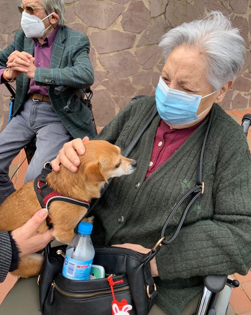 visita de perros en ciudad jardín