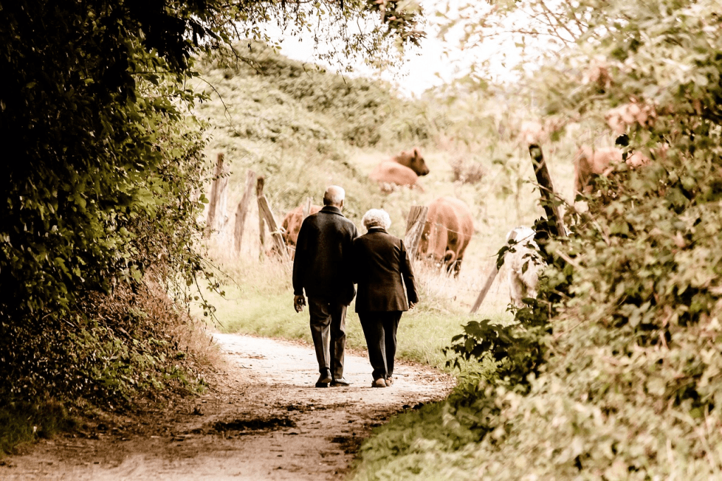 ocio y entretenimiento para ancianos